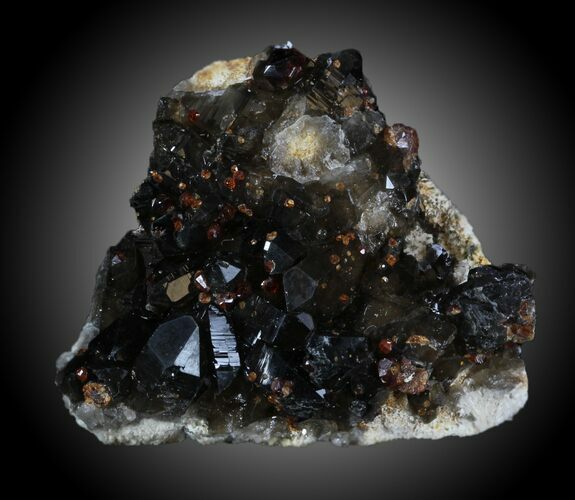 Beautiful Spessartine Garnet & Smoky Quartz - China #32601